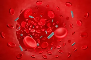 Sepsis An illustration of bacteria in the bloodstream, indicating infection