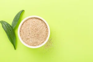 A bowl of psyllium husk powder and two leaves on a lime green background A bowl of psyllium husk powder and two leaves on a lime green background