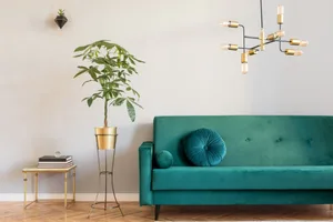 green-sofa Elegant interior with big window, brown wooden parquet and grey wall. Stylish decor of living room.