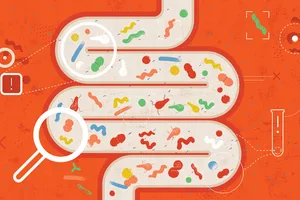 Signs your gut is in trouble A stock illustration of a human intestine filled with gut bacteria
