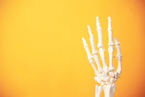 How to protect bones from ageing A white skeletal hand against a vibrant orange background, with its fingers extended upward.