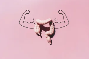 A model colon on a pink background with arms drawn on A model colon on a pink background with arms drawn on