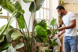 YHS Cover image (1) Watering houseplants