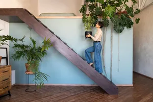 staircase-plant