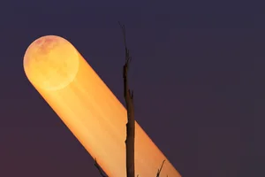 The Buck Moon 2026 trailing across the sky, captured by Taran Sohal, Brisbane, Australia, 29 July 2026. Equipment: Nikon D850 camera, Nikkor 200-500mm, tripod, stack of 2 NISI ND filters Exposure: f/5.6, 15 minutes for Moon, 5 seconds for foreground Software: Photoshop The Buck Moon 2026 trailing across the sky, captured by Taran Sohal, Brisbane, Australia, 29 July 2026. Equipment: Nikon D850 camera, Nikkor 200-500mm, tripod, stack of 2 NISI ND filters Exposure: f/5.6, 15 minutes for Moon, 5 seconds for foreground Software: Photoshop