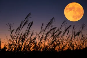 How to photograph the Harvest Moon. Credit: Beautiful Fireworks / Getty Images How to photograph the Harvest Moon. Credit: Beautiful Fireworks / Getty Images