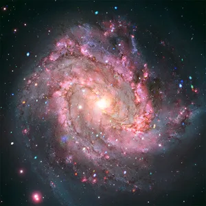 Image of galaxy M83 captured by the Hubble Space Telescope and Chandra X-ray Observatory. Credit: X-ray: NASA/CXC/SAO; Optical: NASA/ESA/AURA/STScI, Hubble Heritage Team, W. Blair (STScI/Johns Hopkins University) and R. O’Connell (University of Virginia); Image Processing: NASA/CXC/SAO/A. Jubett, L. Frattare and P. Edmonds Image of galaxy M83 captured by the Hubble Space Telescope and Chandra X-ray Observatory. Credit: X-ray: NASA/CXC/SAO; Optical: NASA/ESA/AURA/STScI, Hubble Heritage Team, W. Blair (STScI/Johns Hopkins University) and R. O'Connell (University of Virginia); Image Processing: NASA/CXC/SAO/A. Jubett, L. Frattare and P. Edmonds