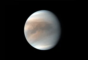 A view of Venus captured by JAXA’s Akatsuki orbiter. © PLANET-C Project Team A view of Venus captured by JAXA's Akatsuki orbiter. © PLANET-C Project Team