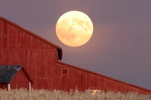 harvest moon Harvest Moon. Credit: srbeckle / Getty Images