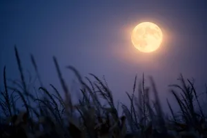 A Harvest Moon. Credit: Jim Kruger / Getty Images A Harvest Moon. Credit: Jim Kruger / Getty Images