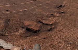 The honeycomb textures of polygon fractures seen on the surface of Mars by NASA’s Curiosity rover. Credit: NASA/JPL-Caltech/MSSS The honeycomb textures of polygon fractures seen on the surface of Mars by NASA's Curiosity rover. Credit: NASA/JPL-Caltech/MSSS