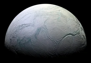 enceladus europa life Image of Saturn's moon Enceladus. Could the icy moons Enceladus and Europa host life beneath their frozen crusts? Credit: NASA/JPL/Space Science Institute