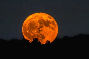 A low-lying Strawberry Moon close to the horizon. Credit: Philippe Paternolli / Getty Images A low-lying Strawberry Moon close to the horizon. Credit: Philippe Paternolli / Getty Images