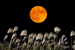 Harvest Moon. Credit: Beautiful Fireworks / Getty Images Harvest Moon. Credit: Beautiful Fireworks / Getty Images