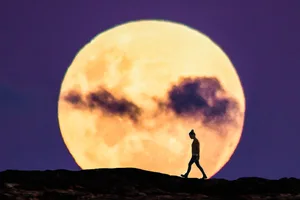 biggest full moon November's supermoon is the biggest, brightest full Moon of the year. Photo by Joel Sharpe / Getty Images