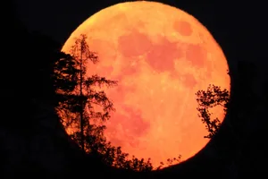 Full Moon. Credit: Maurizio Colella / Getty Images Full Moon. Credit: Maurizio Colella / Getty Images