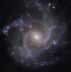 NGC 5468 (Webb NIRCam + Hubble WFC3) Image of galaxy NGC 5468, 130 million lightyears from Earth, combining data from the Hubble and James Webb space telescopes. It's the farthest galaxy in which Hubble identified Cepheid variable stars, markers for measuring the expansion rate of the universe. Credit: NASA, ESA, CSA, STScI, Adam G. Riess (JHU, STScI)