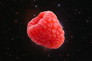 Scientists detected a sugar found in raspberries in interstellar space for the first time. Credit: NASA, ESA and STScI | Science Photo Library / Getty Images Scientists detected a sugar found in raspberries in interstellar space for the first time. Credit: NASA, ESA and STScI | Science Photo Library / Getty Images