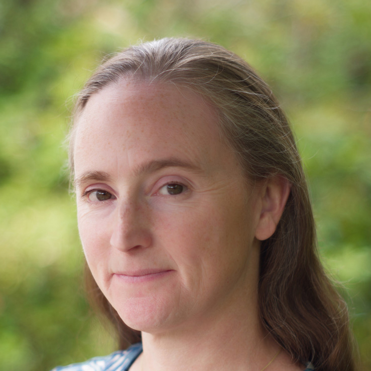 Author avatar