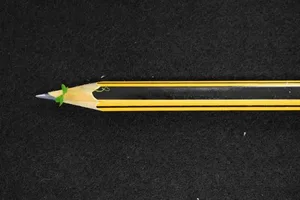 Low-Res_DuckweedPencil Duckweed on Pencil. Credit: University of Nottingham