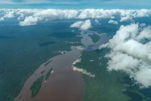 Aerial view of Essequibo River in the interior of Guyana near Wineperu and Poterima communities Aerial view of Essequibo River in the interior of Guyana. Credit: espiegle/Getty Images