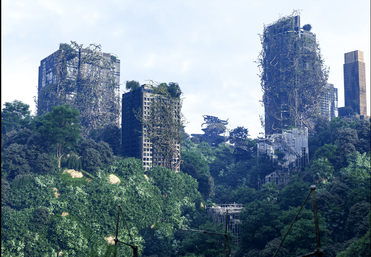 Scientists predict what would happen to the Earth if humans went extinct