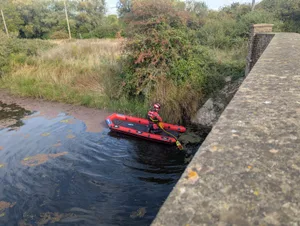 Animal Rescue Officer approaching the sick swan on water boat. Animal Rescue Officer approaching the sick swan on water boat.