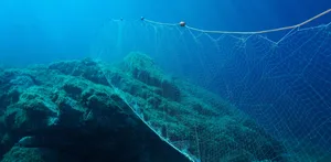 Fishing net under water gillnet in the ocean Fishing net under water gillnet in the ocean with rock and blue water
