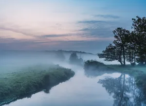 A misty morning in Surrey UK A misty morning in Surrey UK