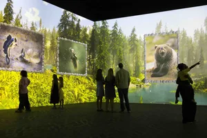 Credit: David Parry Frameless Nikon Comedy Wildlife Awards