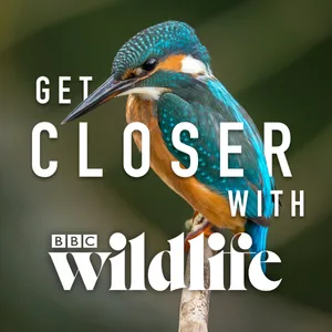 Wildlife_Binoculars_V2Designs-8-PPC Square 1200 x 1200