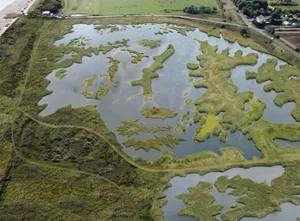 Artist impression of the new wetlands at Sandilands Artist impression of the new wetlands at Sandilands