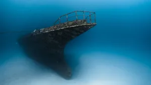 SW wreck jpg-42.jpg 4 Siyam World Maldives' 499-tonne freighter on the seafloor