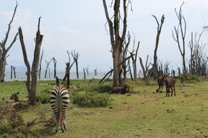 Crescent Island, Kenya Crescent Island, Kenya