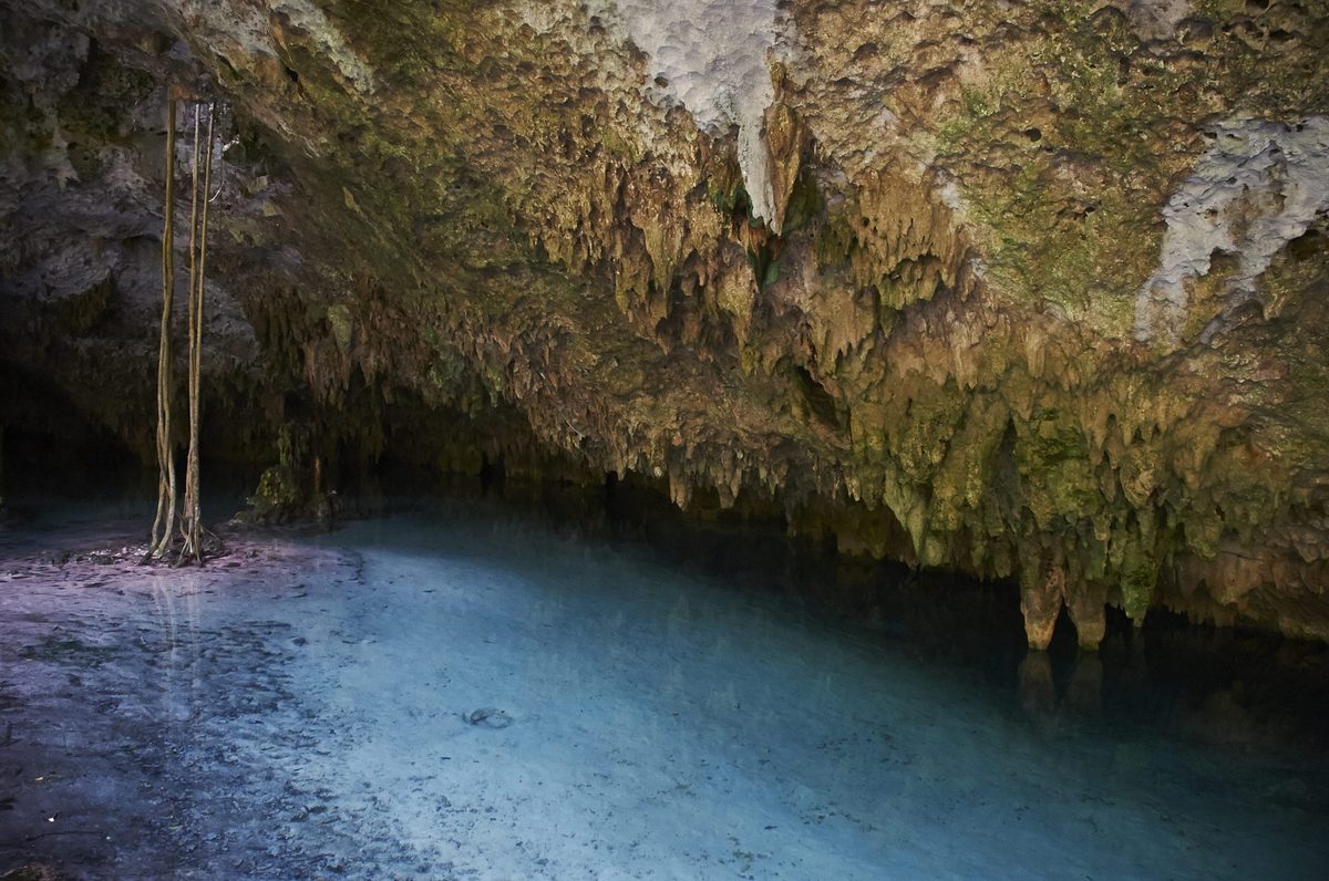 An elephant-like animal was discovered in this gigantic underwater cave. And that’s not all