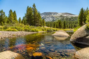 Dana Fork, Yosemite National Park Dana Fork, Yosemite National Park