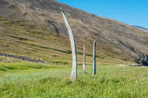 Whalebone Alley or Whale bone alley on the northern shore of Yttygran Island, Chukotka Autonomous Okrug, Russia. Gerald Corsi/Getty Images