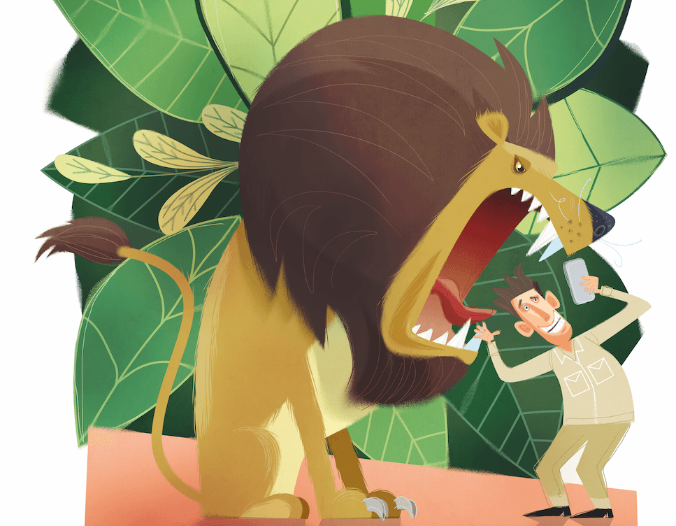 "People risk being attacked, mauled and possibly killed…" The rise and rise of the reckless wildlife tourist | Discover Wildlife