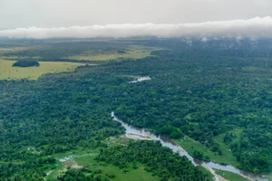 Aerial view of the Qdzala-Kokoua National Park tropical rainforests. Cuvette-Ouest Region. Republic of the Congo or Congo Brazzaville. Aerial view of the Qdzala-Kokoua National Park tropical rainforests. Cuvette-Ouest Region. Republic of the Congo or Congo Brazzaville. Roger de la Harpe/Getty Images