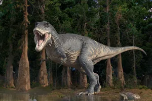 Tyrannosaurus rex dinosaur, illustration Tyrannosaurus rex