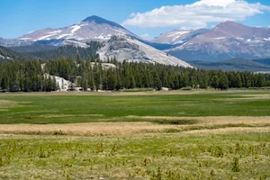 Tuolumne Meadows in Yosemite Tuolumne Meadows in Yosemite
