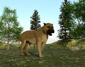 Illustration of a bear-dog (Amphicyon) Illustration of a bear-dog (Amphicyon).