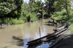 Singarin waterway, Sepik River Singarin waterway, Sepik River