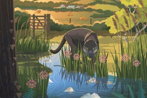 Illustration of big cat in British countryside Illustration of big cat in British countryside