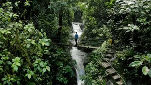 One person standing on bridge in Rainmaker Park crossing a river stream through dense trees of dense tropical forest in Costa Rica, Central America. Thomas Spaeter/Getty Images