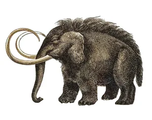 Old engraved illustration of Prehistoric long-haired Elephant (Mammoth) Old engraved illustration of Prehistoric long-haired Elephant (Mammoth)