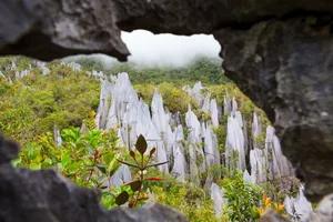 Limestone pinnacles at gunung mulu national park Limestone pinnacles formation at Gunung Mulu National Park, Borneo, Malaysia. Credit: Juhku/Getty Images