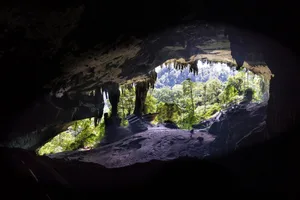 Great Cave chamber majestic entrance at Mulu National Park, Sarawak The Great Cave chamber with its majestic entrance at Mulu National Park, Sarawak. Credit: ThamKC/Getty Images