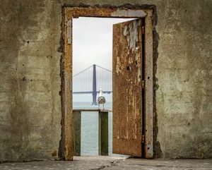 Door, Bird, Bridge Alcatraz Island