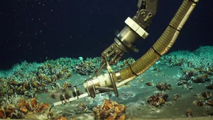 Deep sea robot